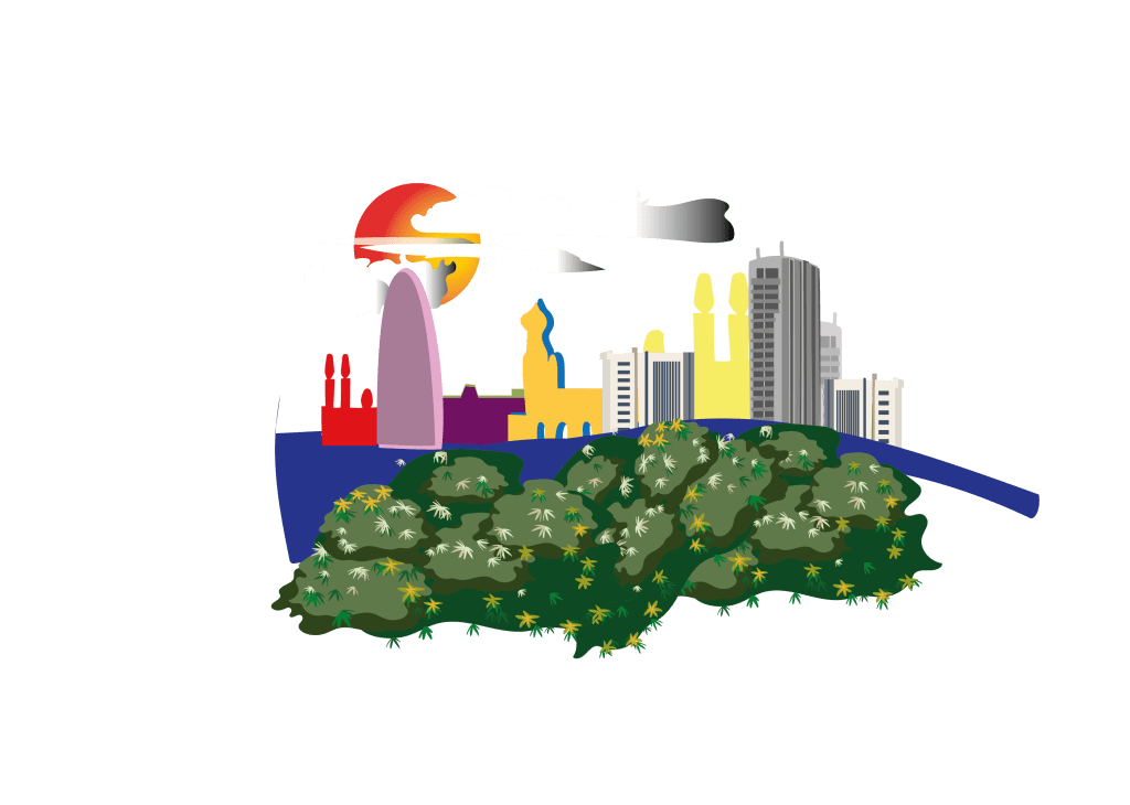 vue de Dakar, pour le projet Nio Far, illustration originale, Illustrator